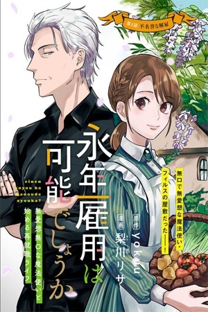 Einen Koyou wa Kanou deshou ka – Buaisou Mukuchi na Mahoutsukai to Hajimeru Saishuushoku Life
